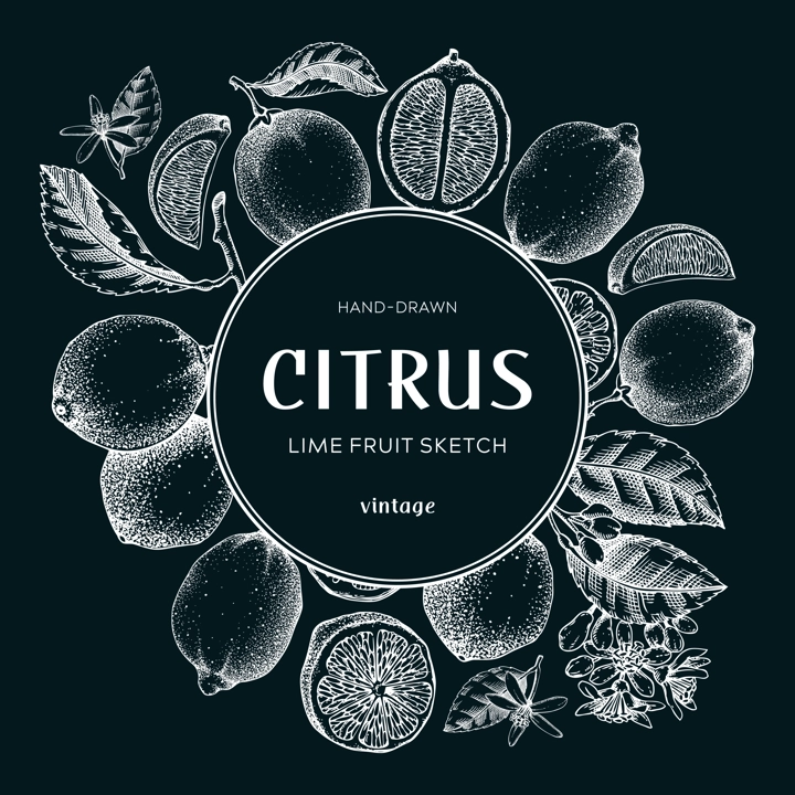 Lime fruit fwreath. Botanical design template. Citrus fruit sketches on chalkboard. Exotic plants frame. Hand drawn vector illustration. NOT AI generated